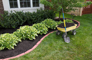 Chippenham Garden Maintenance